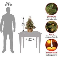 National Tree Company Dunhill Fir 2 Foot Pre Lit Mini Artificial Christmas Tree, Battery w/Timer, White LED Lights, Red Berries, Pinecones, Burlap Pot -Christmas Trees Sales Store unnamed file 1118