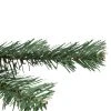 Northlight 2' Medium Blackwater Fir Artificial Christmas Tree - Unlit