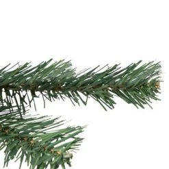 Northlight 2' Medium Blackwater Fir Artificial Christmas Tree - Unlit