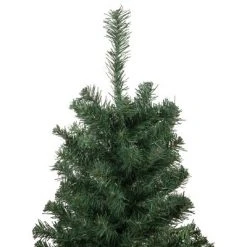 Northlight 2' Medium Blackwater Fir Artificial Christmas Tree - Unlit 6 Northlight 2' Medium Blackwater Fir Artificial Christmas Tree - Unlit -Christmas Trees Sales Store unnamed file 1132