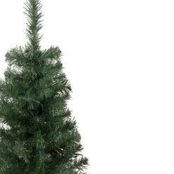 Northlight 3' Blackwater Fir Medium Artificial Christmas Tree - Unlit