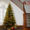 National Tree Company Pre-Lit Artificial Full Christmas Tree, Green, Canadian Fir Grande, Multicolor Lights, Includes Stand, 6 Feet