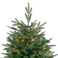 Northlight 6.5' Pre-Lit Hudson Fir Artificial Christmas Tree, Warm White LED Lights -Christmas Trees Sales Store unnamed file 1240