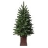 Haute Decor Haute Décor 3.5' Unlit Potted Berkeley Fir Artificial Christmas Tree