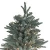 Northlight 14' Pre-Lit Washington Frasier Fir Slim Artificial Christmas Tree - Clear Lights