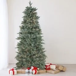 Northlight 14' Pre-Lit Washington Frasier Fir Slim Artificial Christmas Tree - Clear Lights 9 Northlight 14' Pre-Lit Washington Frasier Fir Slim Artificial Christmas Tree - Clear Lights -Christmas Trees Sales Store unnamed file 1385