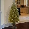 National Tree Company 4 ft. Jersey Fraser Fir Entrance Tree with Clear Lights