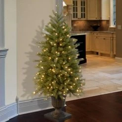 National Tree Company 4 ft. Jersey Fraser Fir Entrance Tree with Clear Lights