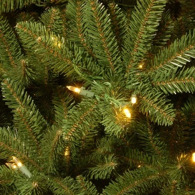 National Tree Company 7.5 ft. Natural Fraser Slim Fir Tree with Clear Lights 2 National Tree Company 7.5 ft. Natural Fraser Slim Fir Tree with Clear Lights - Image 2
