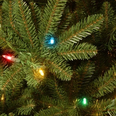 National Tree Company 6.5 ft. Natural Fraser Slim Fir Tree with Multicolor Lights 2 National Tree Company 6.5 ft. Natural Fraser Slim Fir Tree with Multicolor Lights - Image 2