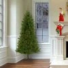 National Tree Company 7 ft. Canadian Grande Fir Tree