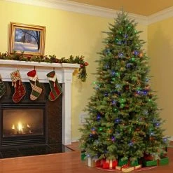 National Tree Company 7.5 ft. PowerConnect(TM) Princeton Fraser Fir with Dual Color® LED Lights