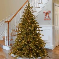 National Tree Company Feel Real Frasier Fir 9 Foot Artificial Prelit Christmas Tree with Dual Color LED Bulbs, Metal Stand, and Easy Assembly, Green