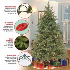 National Tree Company Feel Real Frasier Fir 9 Foot Artificial Prelit Christmas Tree with Dual Color LED Bulbs, Metal Stand, and Easy Assembly, Green -Christmas Trees Sales Store unnamed file 1518