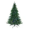 Northlight 6.5' Prelit Artificial Christmas Tree Noble Fir - Dual Lights