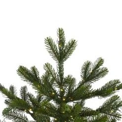 Northlight 7.5' Prelit Artificial Christmas Tree LED Oregon Noble Fir- Warm White Lights 9 Northlight 7.5' Prelit Artificial Christmas Tree LED Oregon Noble Fir- Warm White Lights -Christmas Trees Sales Store unnamed file 1569
