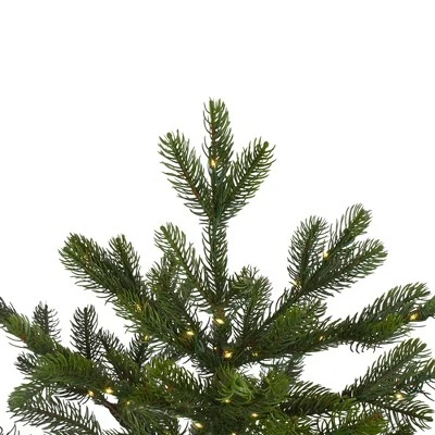 Northlight 7.5' Prelit Artificial Christmas Tree LED Oregon Noble Fir- Warm White Lights 3 Northlight 7.5' Prelit Artificial Christmas Tree LED Oregon Noble Fir- Warm White Lights - Image 3