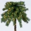 6ft Pre-Lit Artificial Palm Tree Clear Lights - Wondershop™