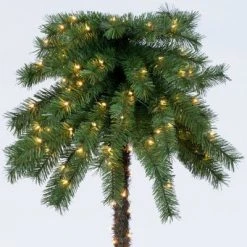 6ft Pre-Lit Artificial Palm Tree Clear Lights - Wondershop™