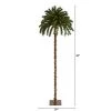 7ft Nearly Natural Pre-Lit LED Slim Palm Artificial Christmas Tree Warm White Lights