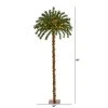 5ft Nearly Natural Pre-Lit LED Palm Artificial Christmas Tree Warm White Lights