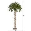 4ft Nearly Natural Pre-Lit LED Palm Artificial Christmas Tree Warm White Lights