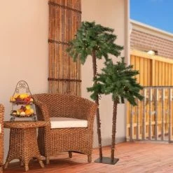 Northlight 6ft Lighted Artificial Tropical Palm Tree Duo, Clear Lights