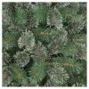 6' Unlit Virginia Pine Hinged Artificial Christmas Tree - Wondershop™