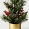 23" Unlit Table Top Pine Artificial Tree with Berries in Gold Pot - Wondershop™
