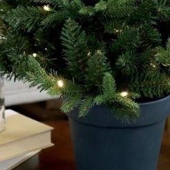 Sunnydaze Decor Sunnydaze Pre-Lit Artificial Christmas Tree with Base - 100 Battery-Operated LED Lights - 3-Foot -Christmas Trees Sales Store unnamed file 241