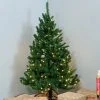 Sunnydaze Decor Sunnydaze Indoor Pre-Lit Faux Tannenbaum Slim Holiday Christmas Evergreen Tree with Hinged Branches and Warm White Lights - 4' - Green