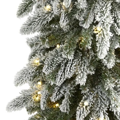 7.5ft Nearly Natural Pre-Lit LED Flocked Washington Alpine Slim Artificial Christmas Tree Warm White Lights 2 7.5ft Nearly Natural Pre-Lit LED Flocked Washington Alpine Slim Artificial Christmas Tree Warm White Lights - Image 2