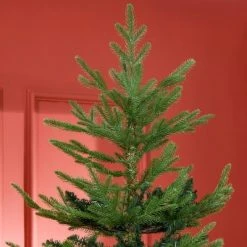 HOMCOM 7.5 Foot Artificial Christmas Tree, Pine Hinged Xmas Tree with Realistic Branches, Steel Base, Auto Open, Green -Christmas Trees Sales Store unnamed file 3187