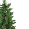 Northlight Set of 2 Pre-Lit Whitmire Pine Potted Artificial Christmas Trees 4' - Clear Lights