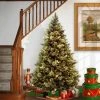 National Tree Company 7ft National Christmas Tree Company Pre-Lit Carolina Pine Full Artificial Christmas Tree with 700 Clear Lights