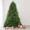 Northlight 6.5' Gunnison Pine Artificial Christmas Tree - Unlit