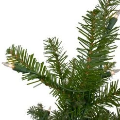 Northlight 10' Prelit Artificial Christmas Tree Full Northern Pine - Clear Lights -Christmas Trees Sales Store unnamed file 3561