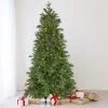 Northlight 6.5' Pre-Lit Rosemary Emerald Angel Pine Artificial Christmas Tree - Warm White LED Lights