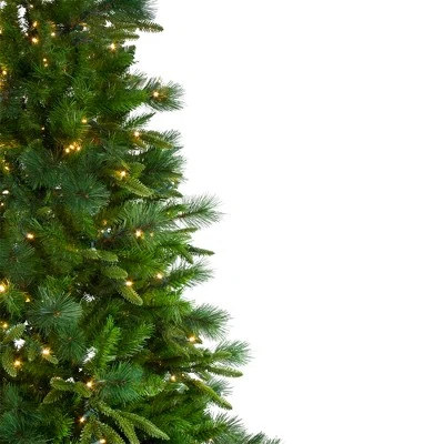 Northlight 7.5' Pre-Lit Rosemary Emerald Angel Pine Artificial Christmas Tree - Warm White LED Lights 3 Northlight 7.5' Pre-Lit Rosemary Emerald Angel Pine Artificial Christmas Tree - Warm White LED Lights - Image 3
