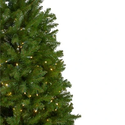 Northlight 6.5' Prelit Artificial Christmas Tree Full Northern Pine - Warm Clear LED Lights 3 Northlight 6.5' Prelit Artificial Christmas Tree Full Northern Pine - Warm Clear LED Lights - Image 3