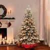 7.5ft Puleo Pre-Lit Flocked Full Princess Pine Artificial Christmas Tree Clear Lights