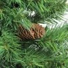 Northlight 7.5' Unlit Artificial Christmas Tree Full Dakota Red Pine - Unlit