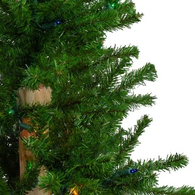 Northlight 3ct Pre-Lit Alpine Artificial Christmas Trees 4ft, 5ft and 6ft - Multi Lights 4 Northlight 3ct Pre-Lit Alpine Artificial Christmas Trees 4ft, 5ft and 6ft - Multi Lights - Image 4