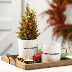 Sullivans Artificial Cedar And Berry Tree Multicolor 17.5"H Set of 2 -Christmas Trees Sales Store unnamed file 384