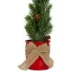 Northlight 11.75" Frosted Upswept Mini Pine Christmas Tree in Red Tin Pot - Unlit