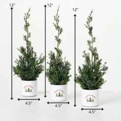 Sullivans Artificial Potted Cypress Evergreen Trio Multicolor 12"H Set of 3 -Christmas Trees Sales Store unnamed file 400