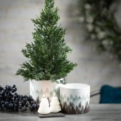 Sullivans Artificial Cypress Trees In Gunny Sacks Green 17.5"H Set of 2 -Christmas Trees Sales Store unnamed file 403