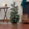 Northlight 3' Snowy Pine Artificial Christmas Tree in Wooden Pot - Unlit