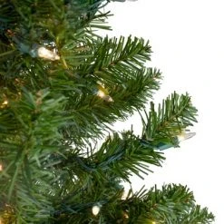 Northlight 3' Prelit Artificial Christmas Tree Canadian Pine - Clear Lights