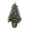 Northlight 4' Pre-Lit Frosted Mixed Berry Pine Artificial Christmas Tree in Pot - Clear Lights